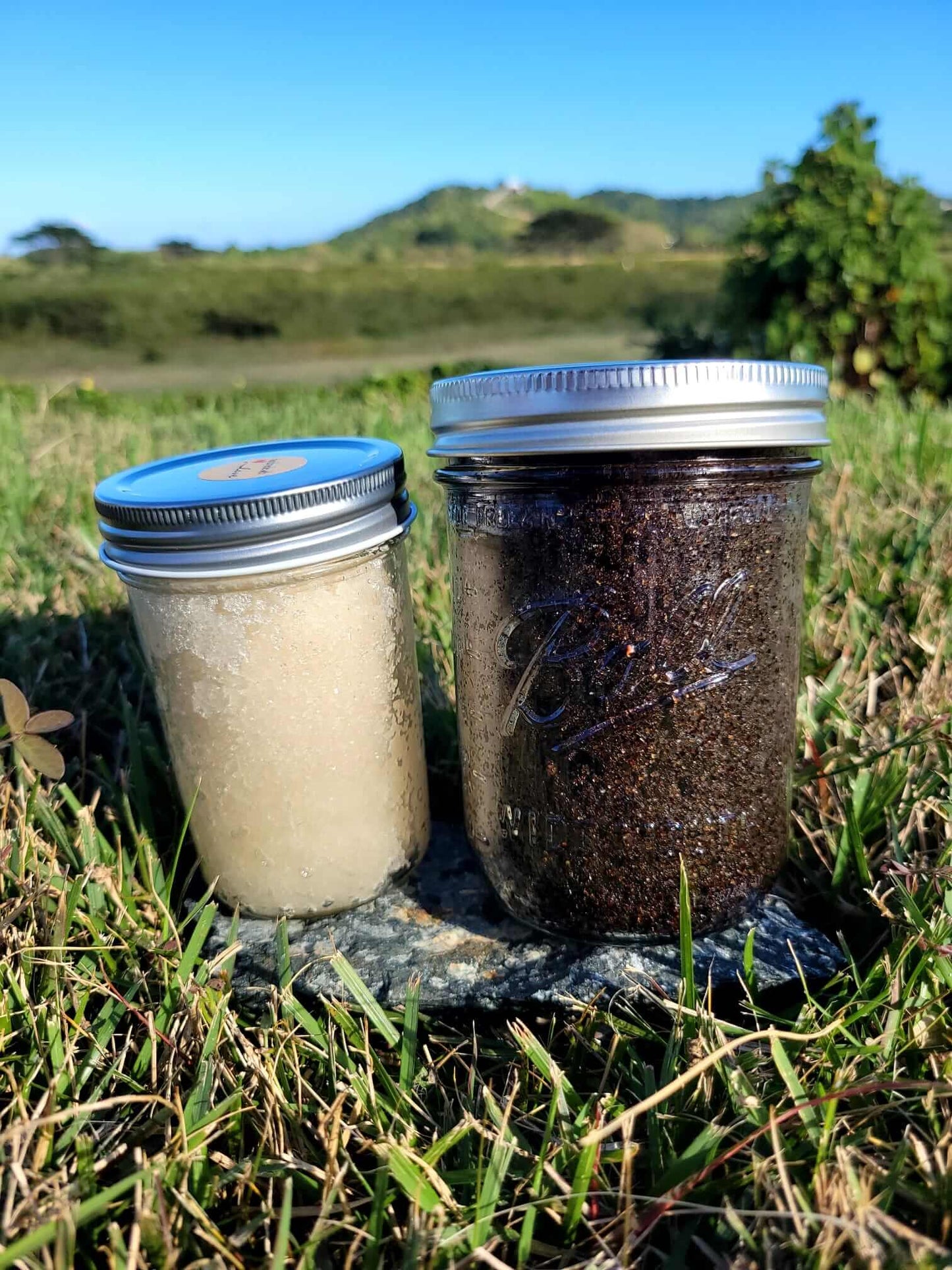 Face and Body Lavender & Vanilla Scrub
