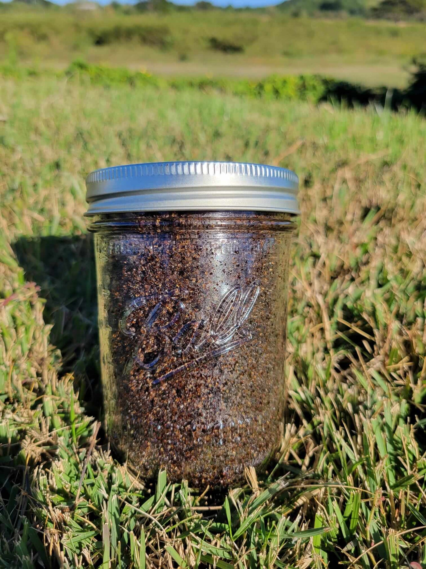 Face and Body Coffee Scrub